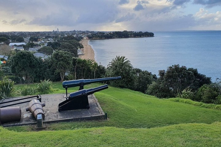 Auckland City Sightseeing & Experience - 6 to 8 Hours - Photo 1 of 9
